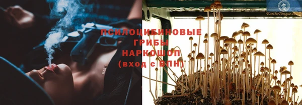 мяу мяу мука Абинск