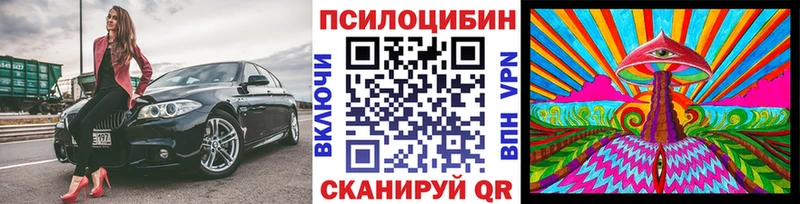 Псилоцибиновые грибы Psilocybine cubensis  Зеленодольск 